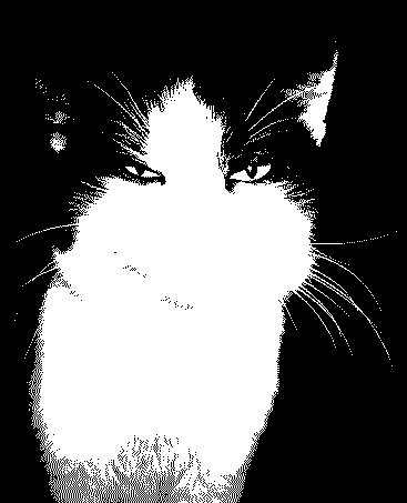 Мурка Грей.