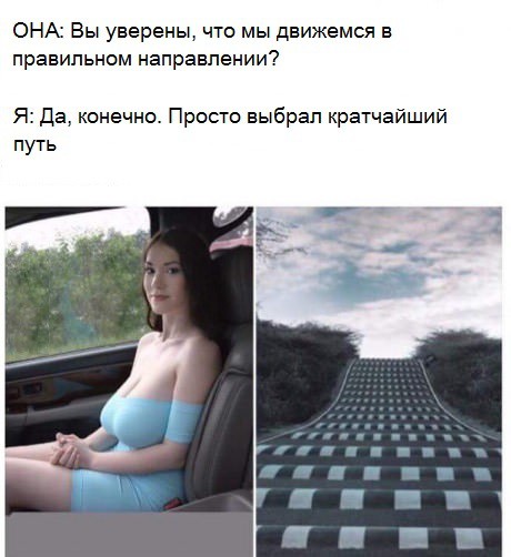 Идеальная попутчица