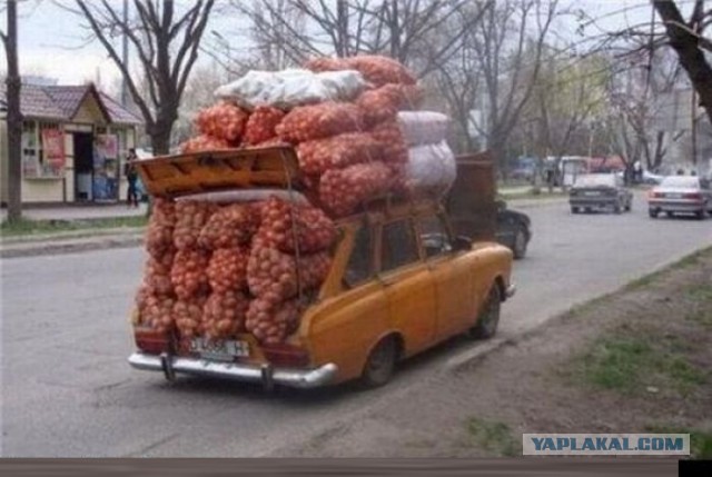 В Китае показали концепт автобуса, под которым могут проезжать машины