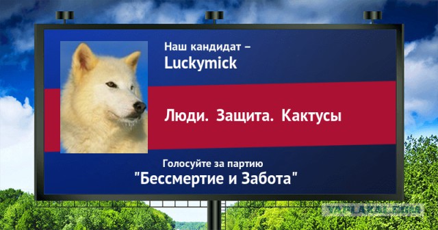 Стань кандидатом от ЯПа