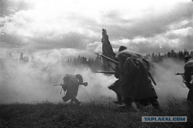 Бессмертный полк, вперед!