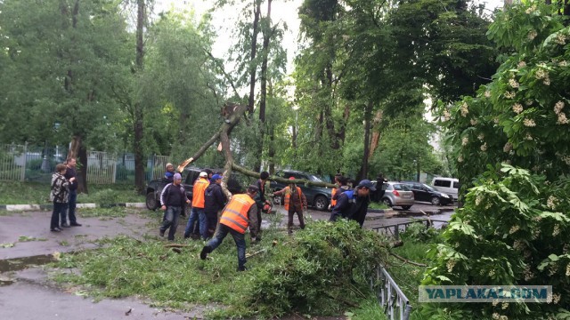 В Москве ураган!