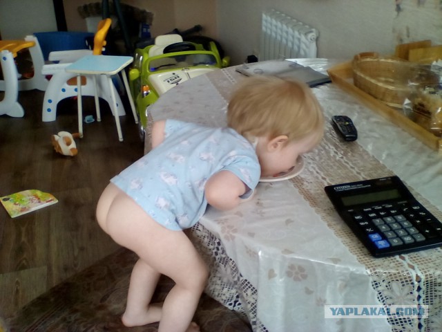 Дочка голопопит