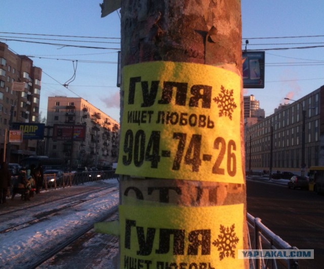 Кризис с проститутками в Италии