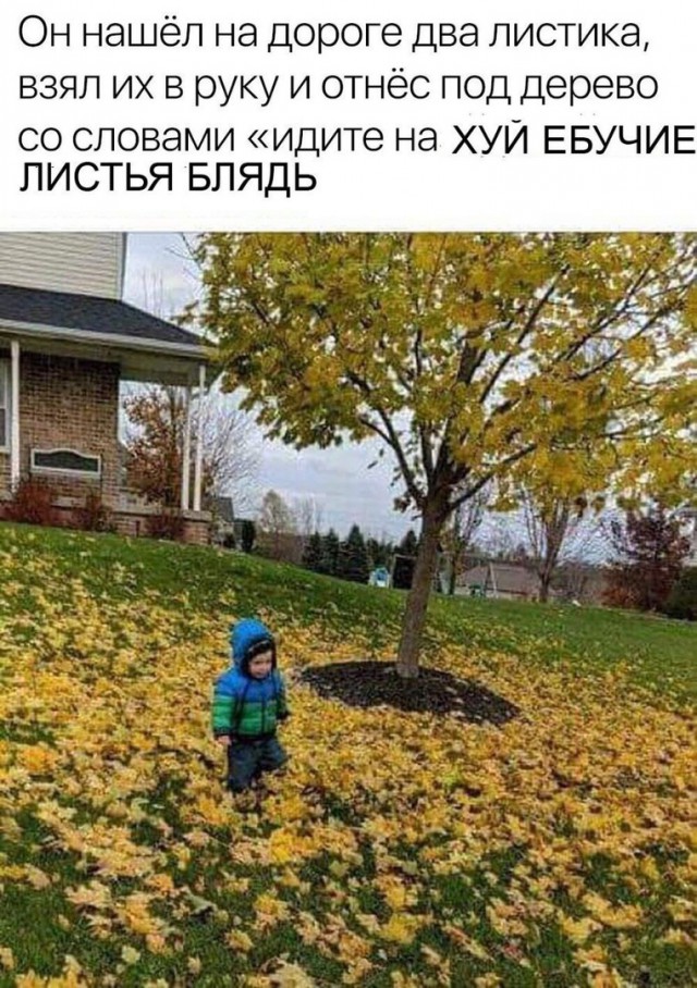 Слегка аморальный и лютый юмор. Только для ценителей