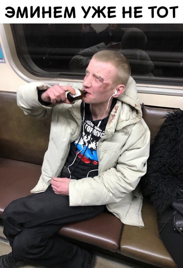 Скотсети и прочие интернеты 01.02.19