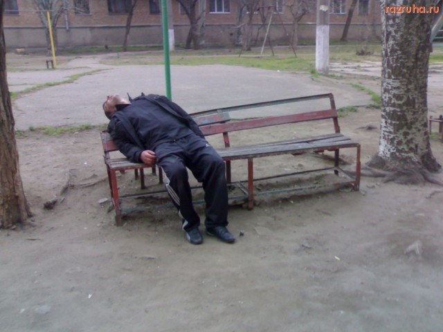 Скотсети и прочие интернеты 05.04.19