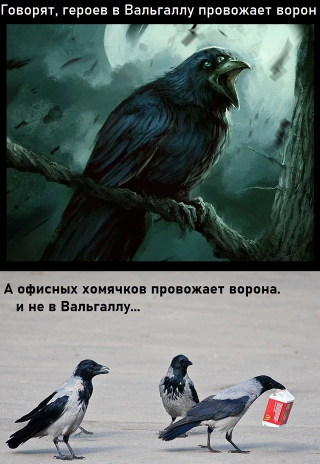 Немного картинок для настроения 04.06.20