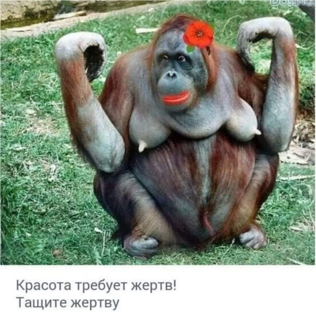 Бредзона 02.01.21