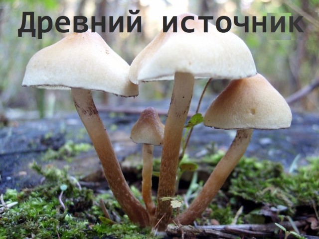 Земляне всё еще находятся в состоянии галактической войны