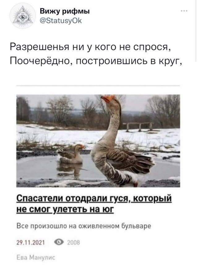 Спасатели отодрали гуся, который не смог улететь на юг