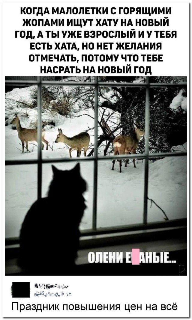 Забавные комментарии из социальных сетей (03.01.22)