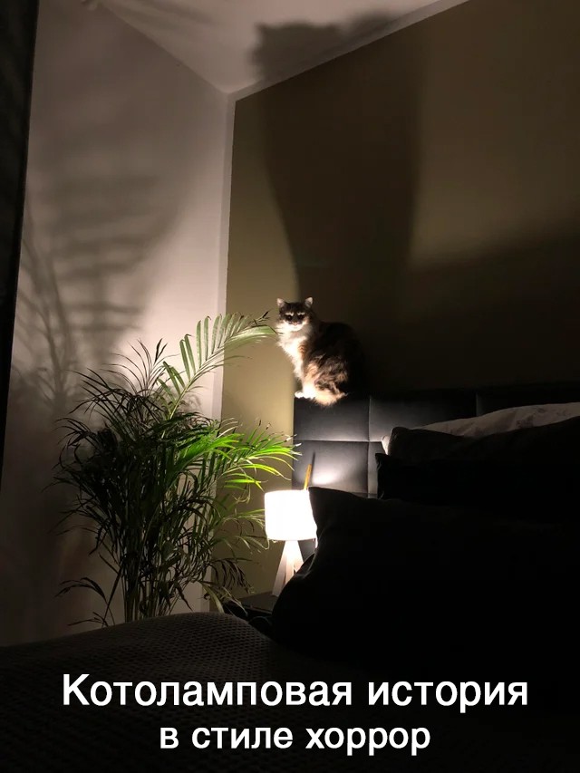 Немного картинок и прочей хреноты Vol. 9