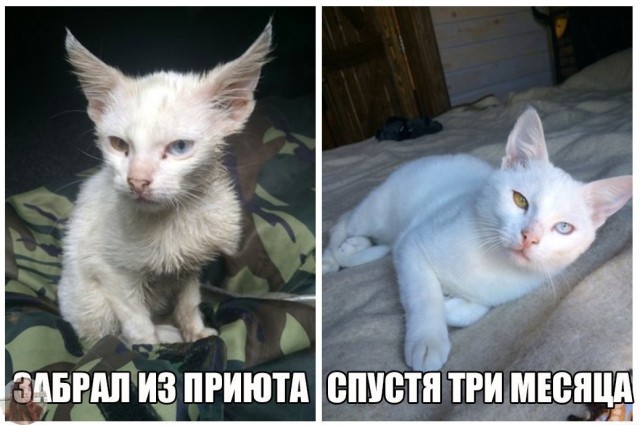 Так себе картинки 17.04.22