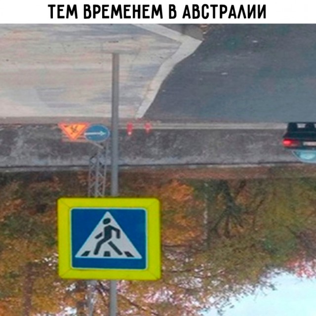 Картинки и мемы, всем хороших выходных