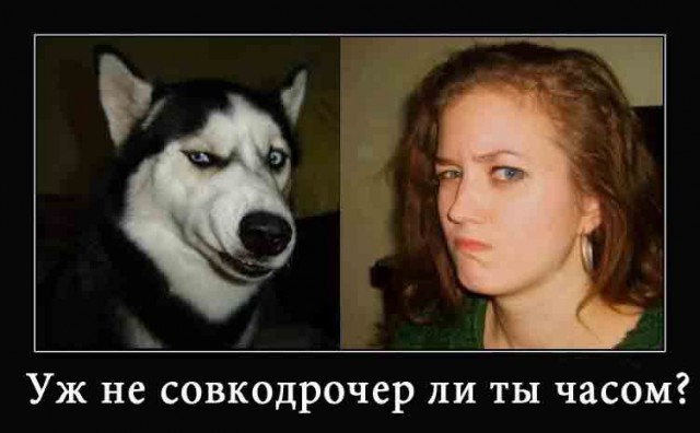 К 100-летию СССР. Свет могучей звезды