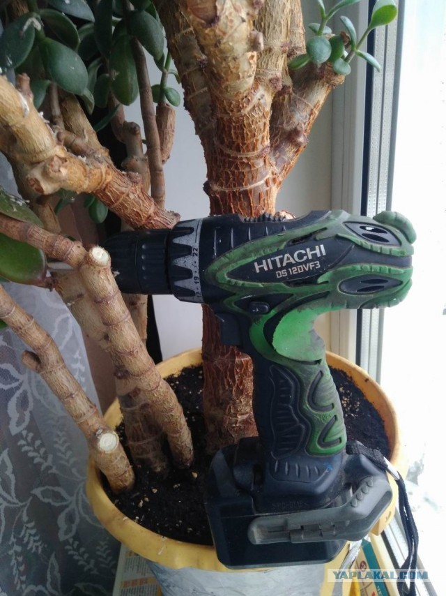 Когда это шуруповёрт сдохнет наконец?