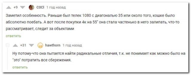 Забавные комментарии из социальных сетей (20.03.23)