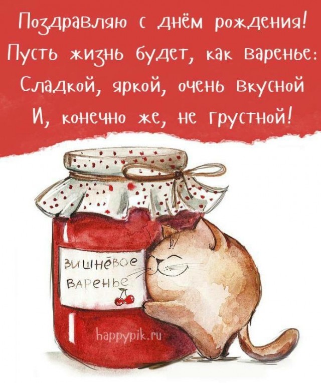 Фотографии спасённых мурлык до и после того, как они обрели дом и любящих хозяев