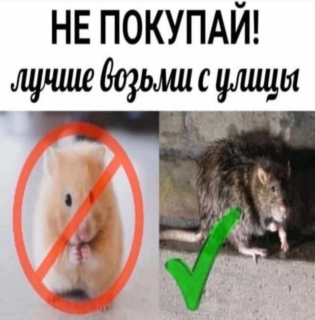 Картинки от Scodero - 6