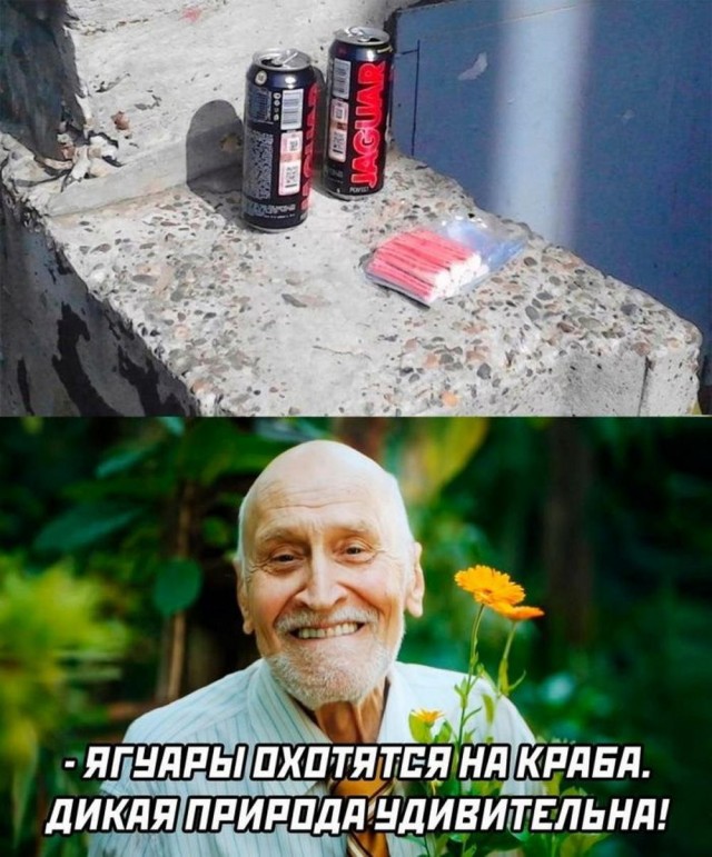 Отряд быстрого деградирования