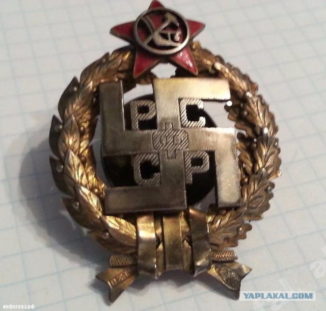 Скинхеды нынче уже не те пошли