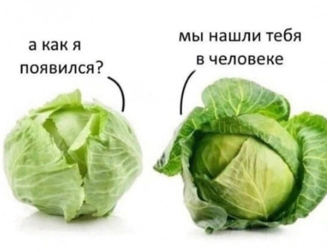 Так себе картинки 15.10.24