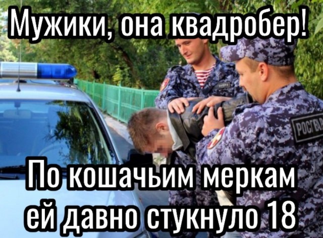Всего понемногу. От 14.11.2024