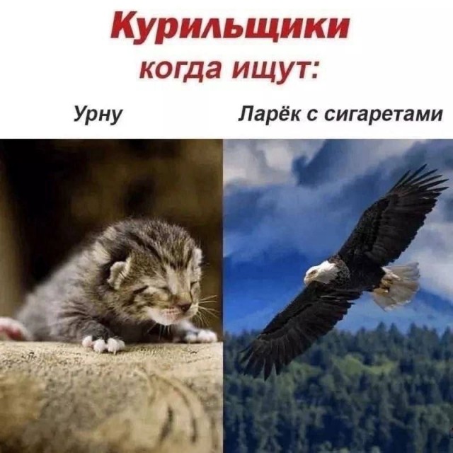 Кодекс курильщика: какие неписанные правила соблюдали курившие в СССР?