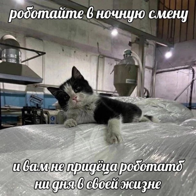 В день защиты детей от взрослых