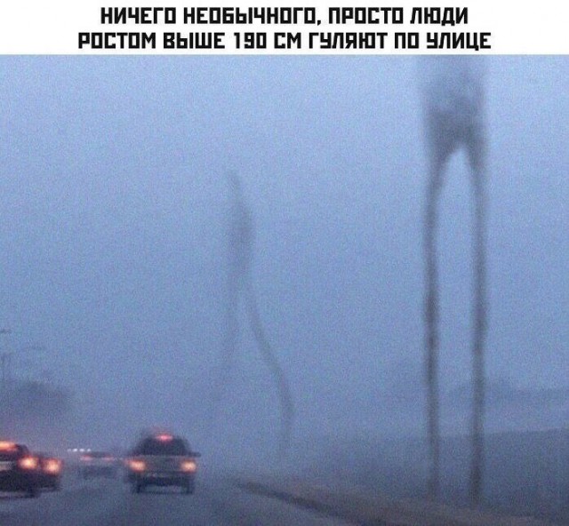 Так себе картинки 08.06.25