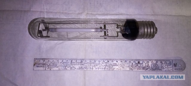 Что за "звери" такие?