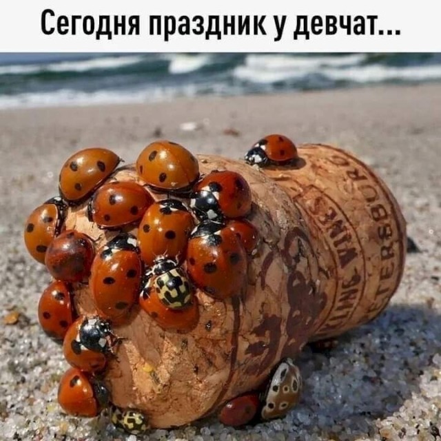 Прикольные и просто красивые картинки 13.06.2025
