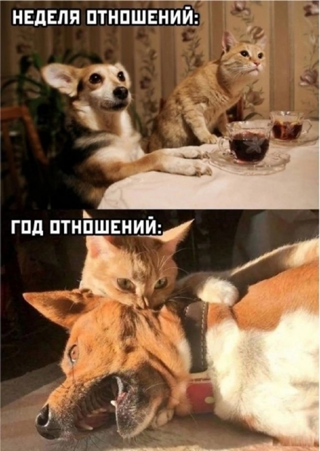 Так себе картинки 14.06.25