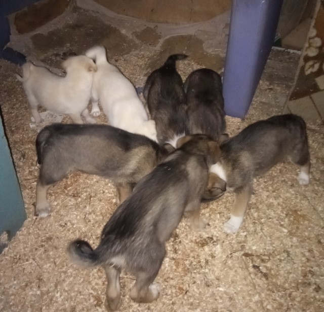 Нет, не всё поколение потеряно!