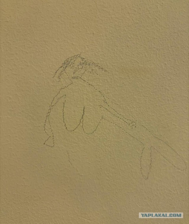 Бэнкси из Краснодара