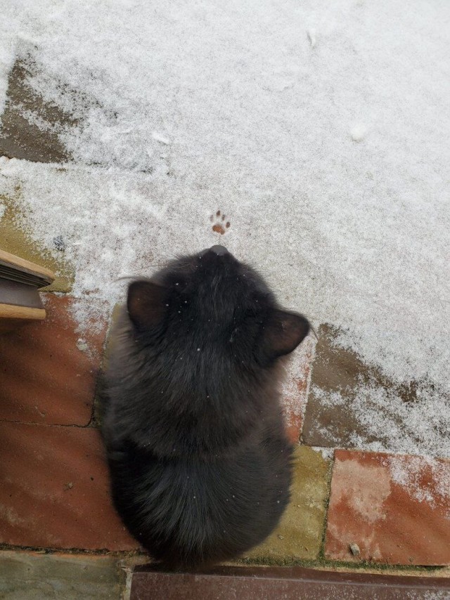 Передумал с первого шага.