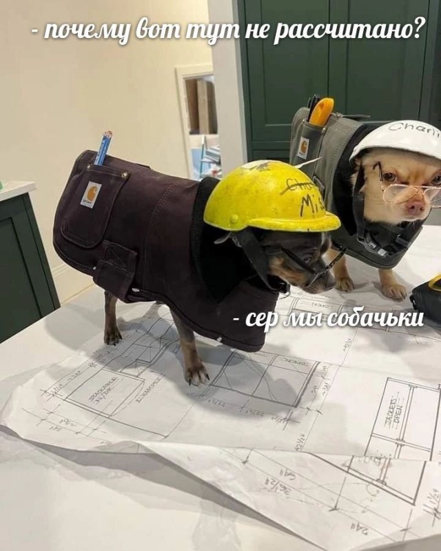 Дегрономикон 7