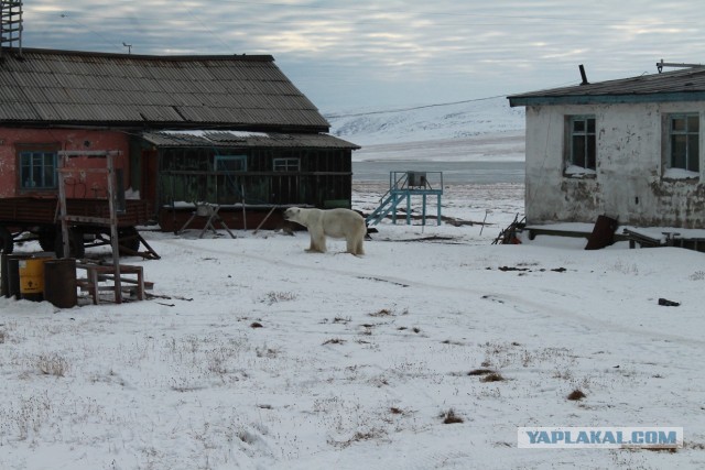 Cтанция Валькаркай