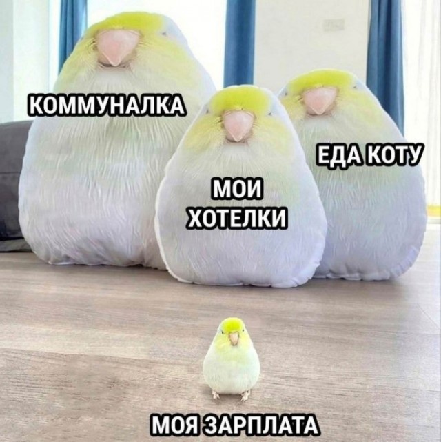 Картиночки, баянчики 13 февраля