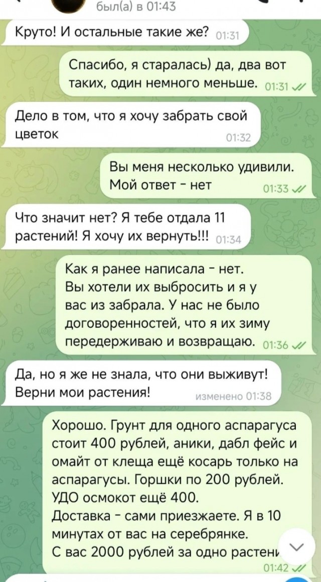 Аспарагусы