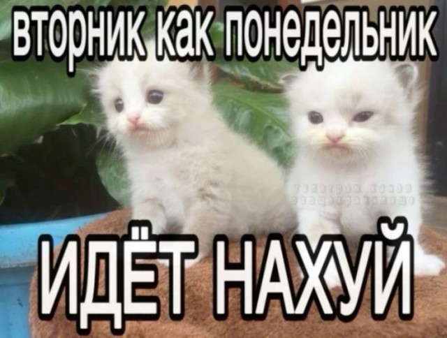 Деградация