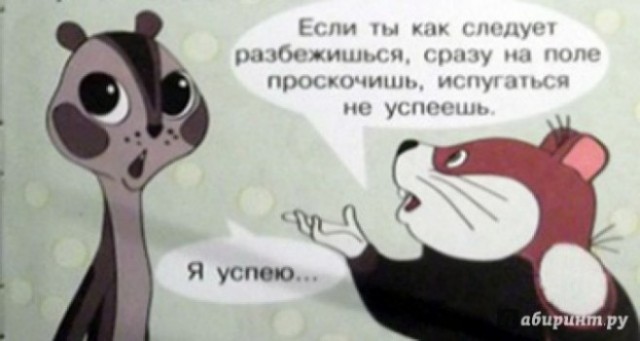 *БАЯН*Жизнь одна