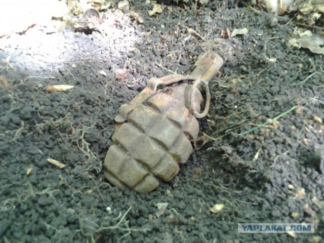 Находки с Великой Отечественной под Воронежем