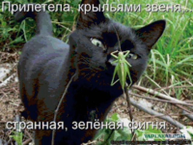 Кому юки отсыпать?