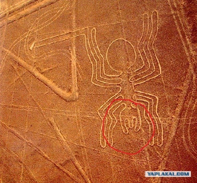 Фотозагадка на спутниковых снимках