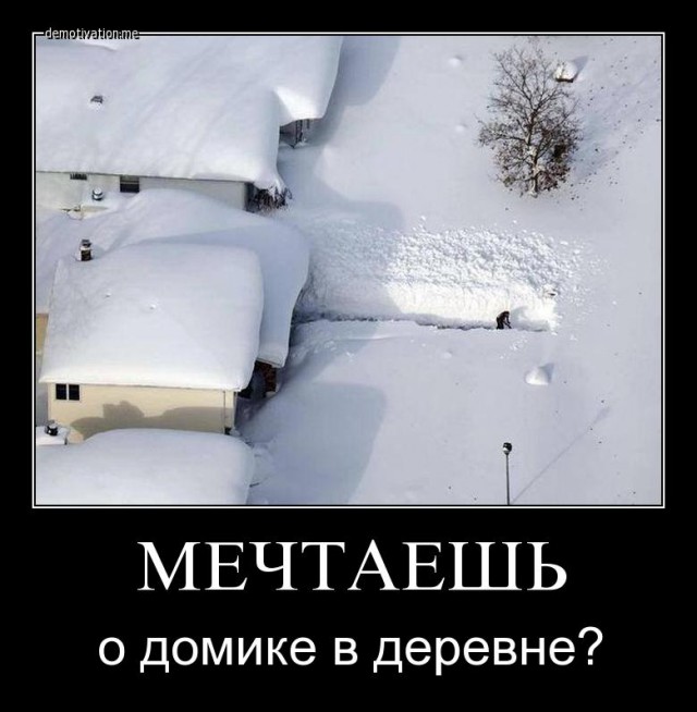 Весёлые картинки