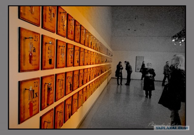 Фотограф от бога.