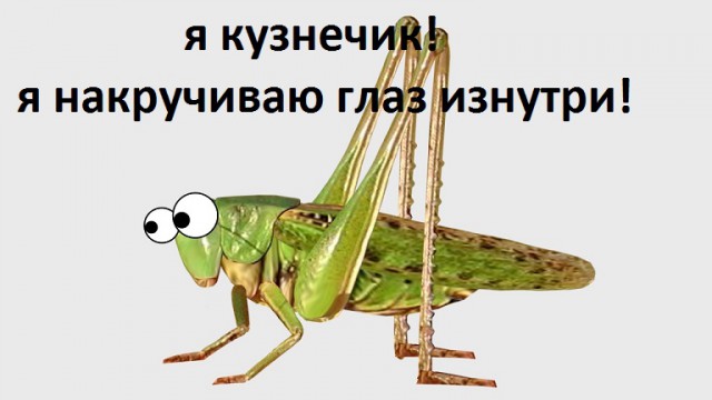 Истории от врачей 20