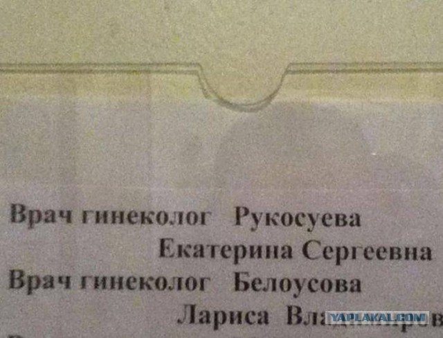 Веселости которые встретились сегодня